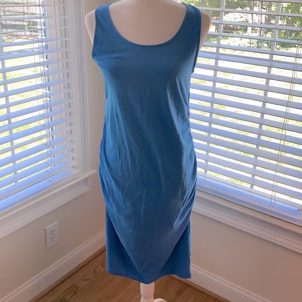 Isabel for Target Maternity Dress